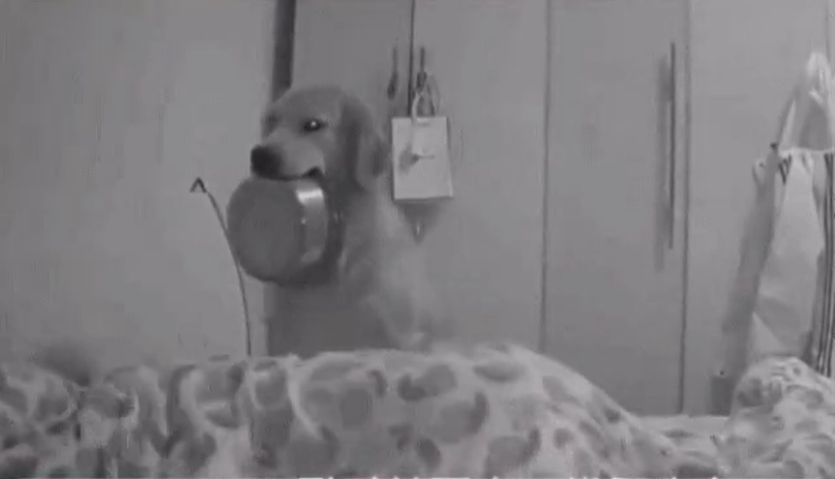 b35af272f015810d135a31140dadd91a_1740589172_2956.png