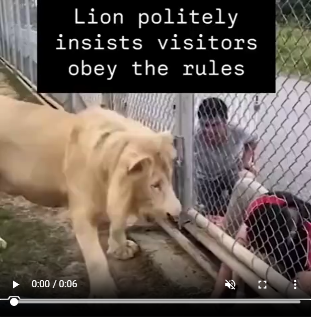 3e63ff4a6da82e6996a17c81c2622f0e_1742683458_7836.png