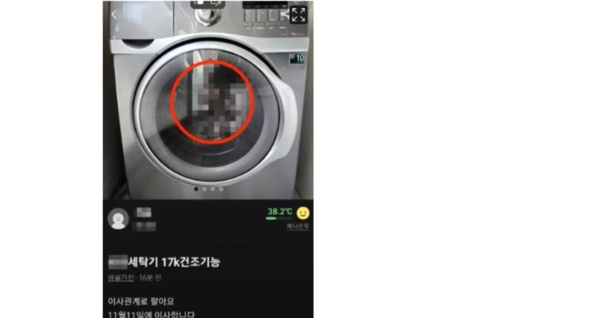 2d3e0510666614696c4bc96a71bd4165_1744067066_4681.png