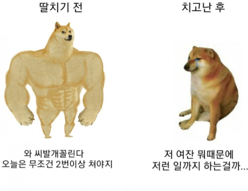 1e4e290bee9bd75abeca1b3169656b0b_1751884149_0059.png