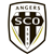 Member icon